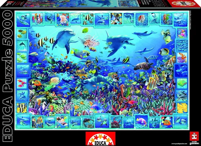 educa-14828-k-nigreich-der-delfine-puzzle-5000-teile-meer image 1