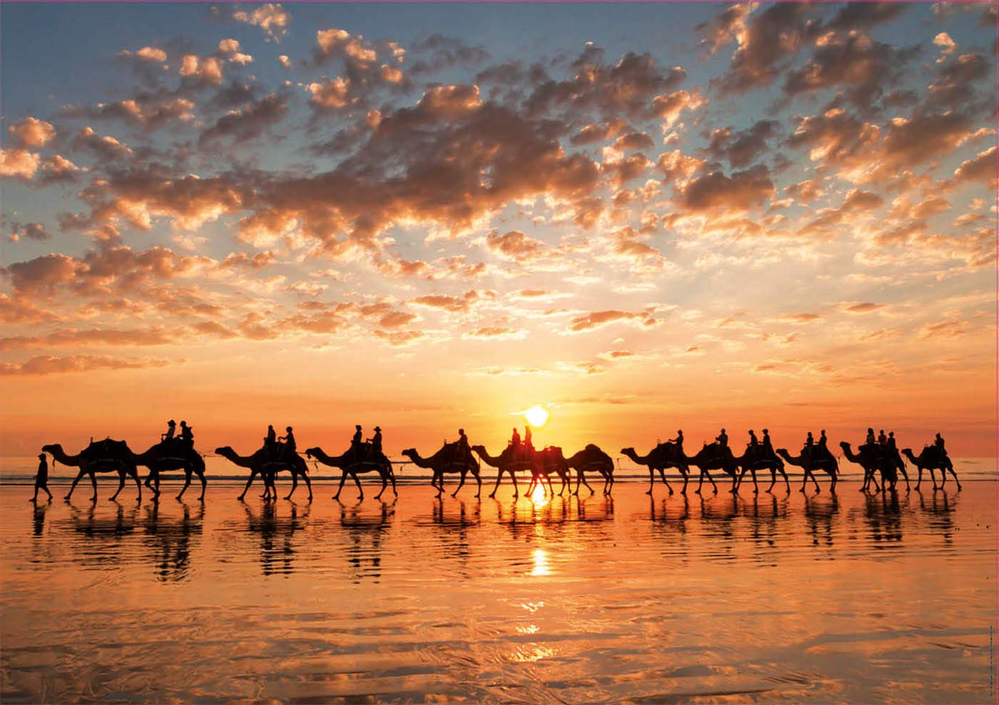 educa-kamele-sonnenuntergang-puzzle-1000-teile-68x48-cm image 2