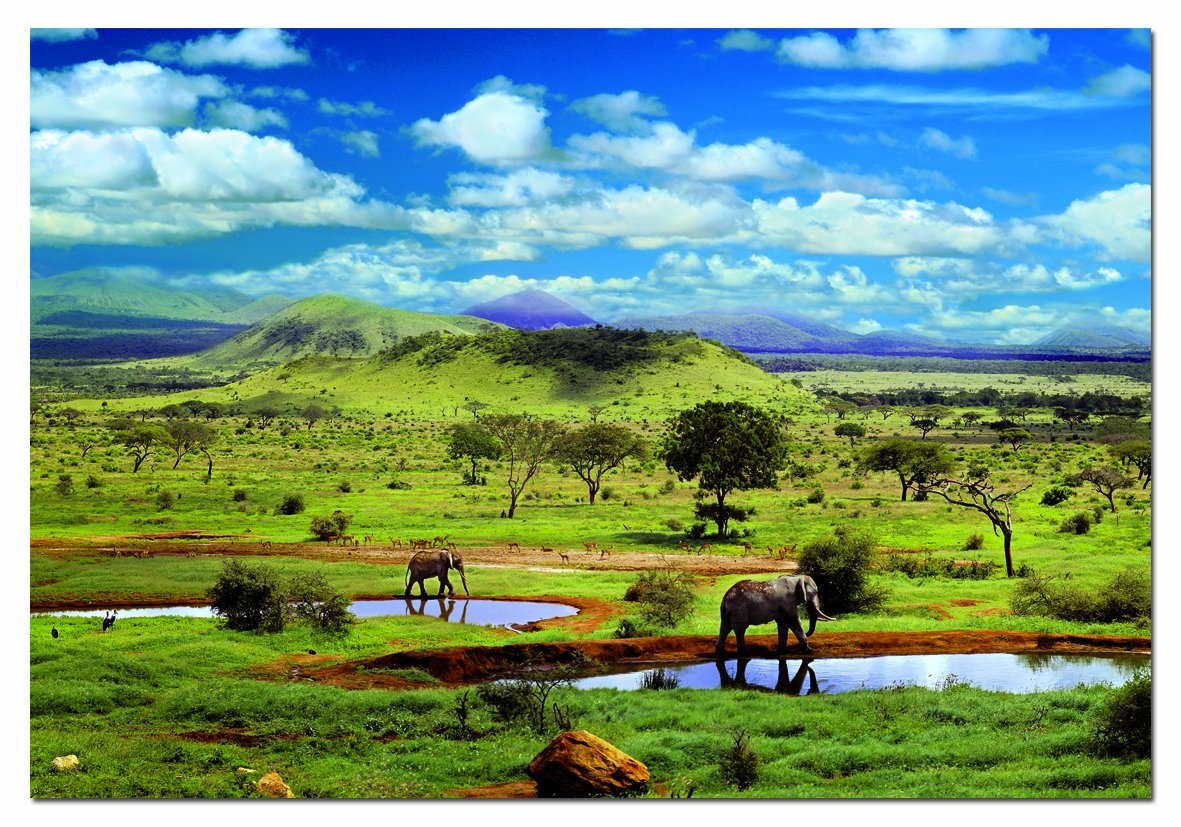 educa-tsavo-nationalpark-puzzle-500-teile-safari image 2