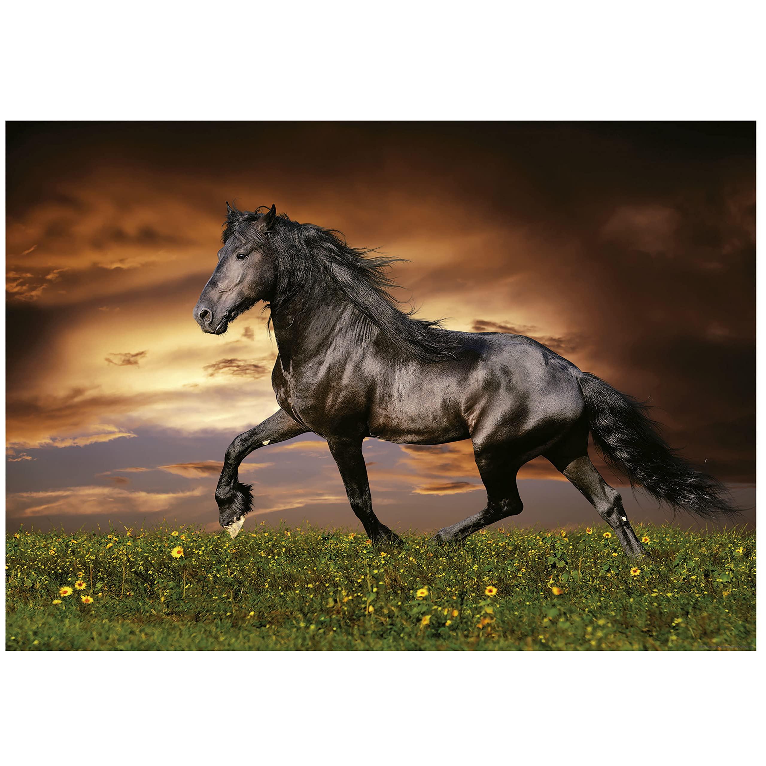 educa-friese-in-der-d-mmerung-19555-puzzle-1000-t-pferd image 2