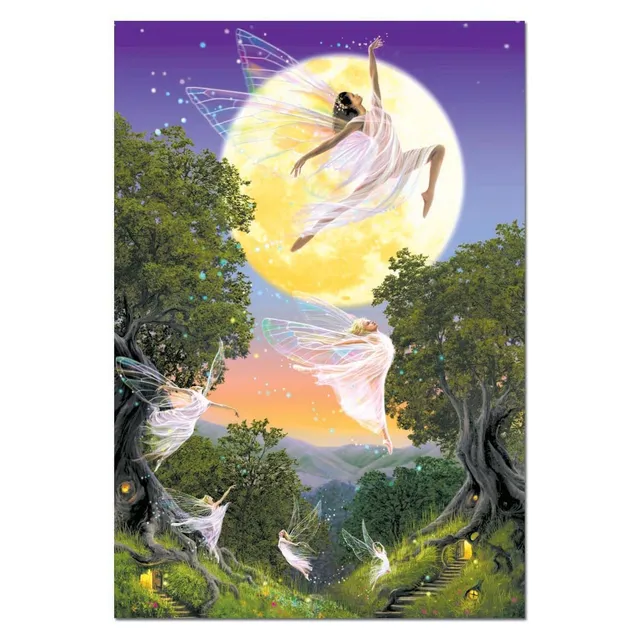 educa-14812-feen-im-mondlicht-puzzle-1000-teile-fantasy image 1