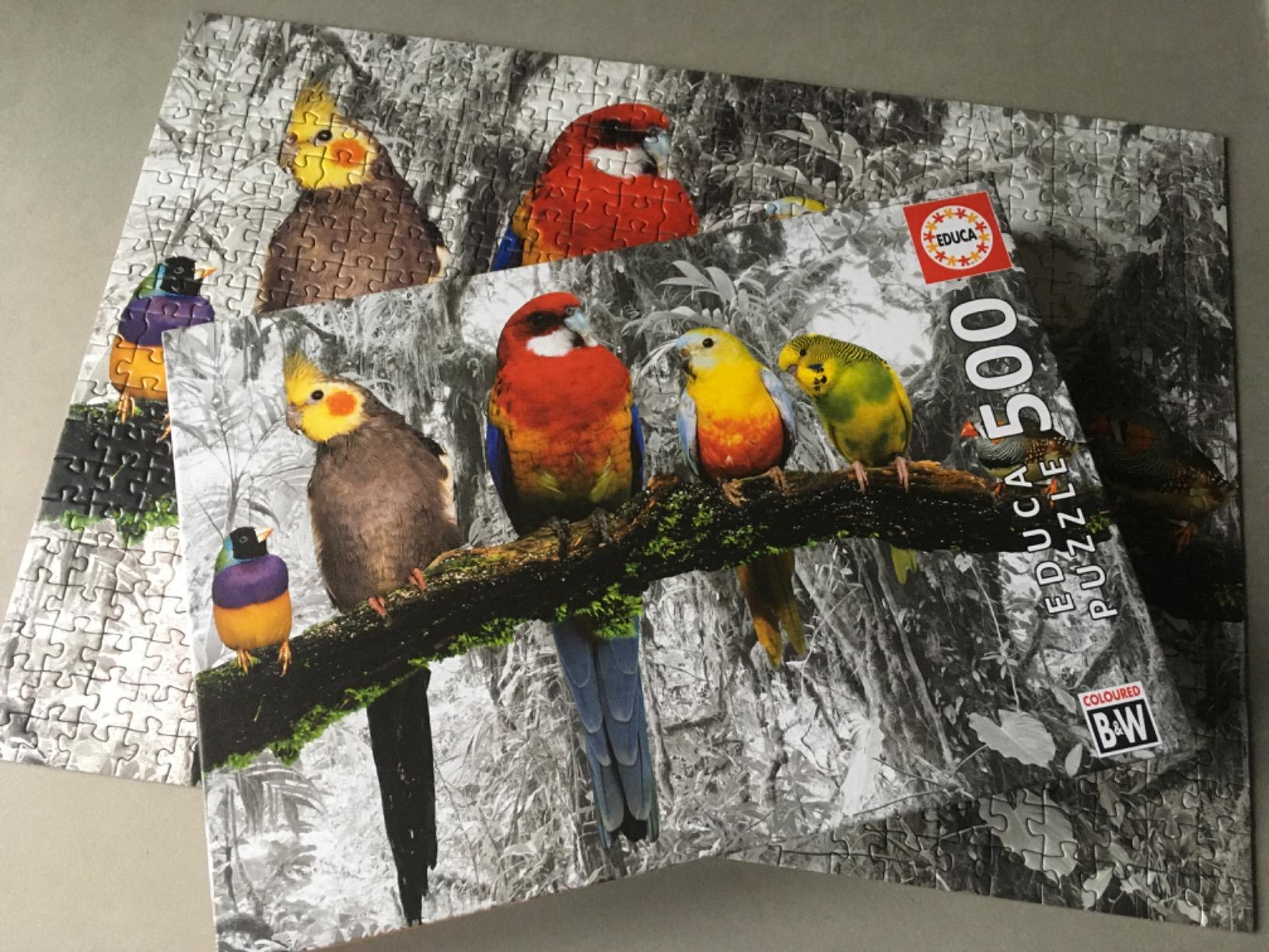 Vögel schön