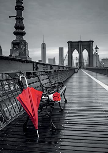 educa-roter-schirm-brooklyn-puzzle-1000-teile image 6