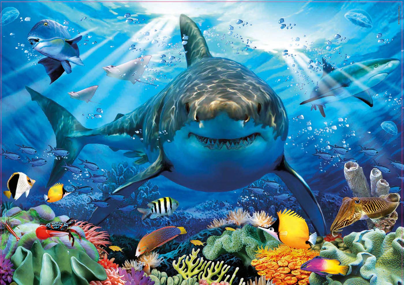 educa-wei-er-hai-puzzle-500-teile-18478-meerestiere-unterwasser image 2