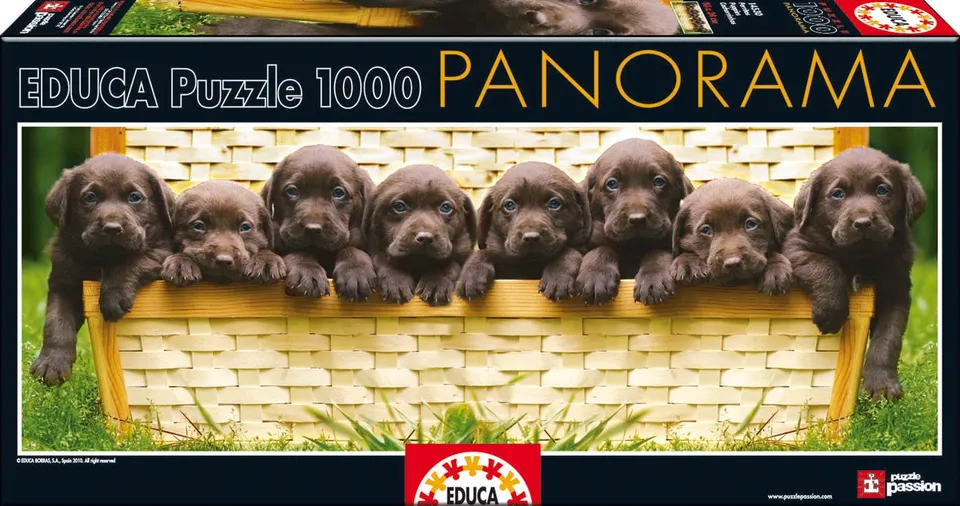 educa-panorama-welpen-puzzle-500-teile-hunde-motiv image 1