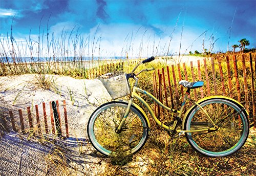 educa-17657-fahrrad-in-den-d-nen-puzzle-1000-teile-68x48-cm image 6