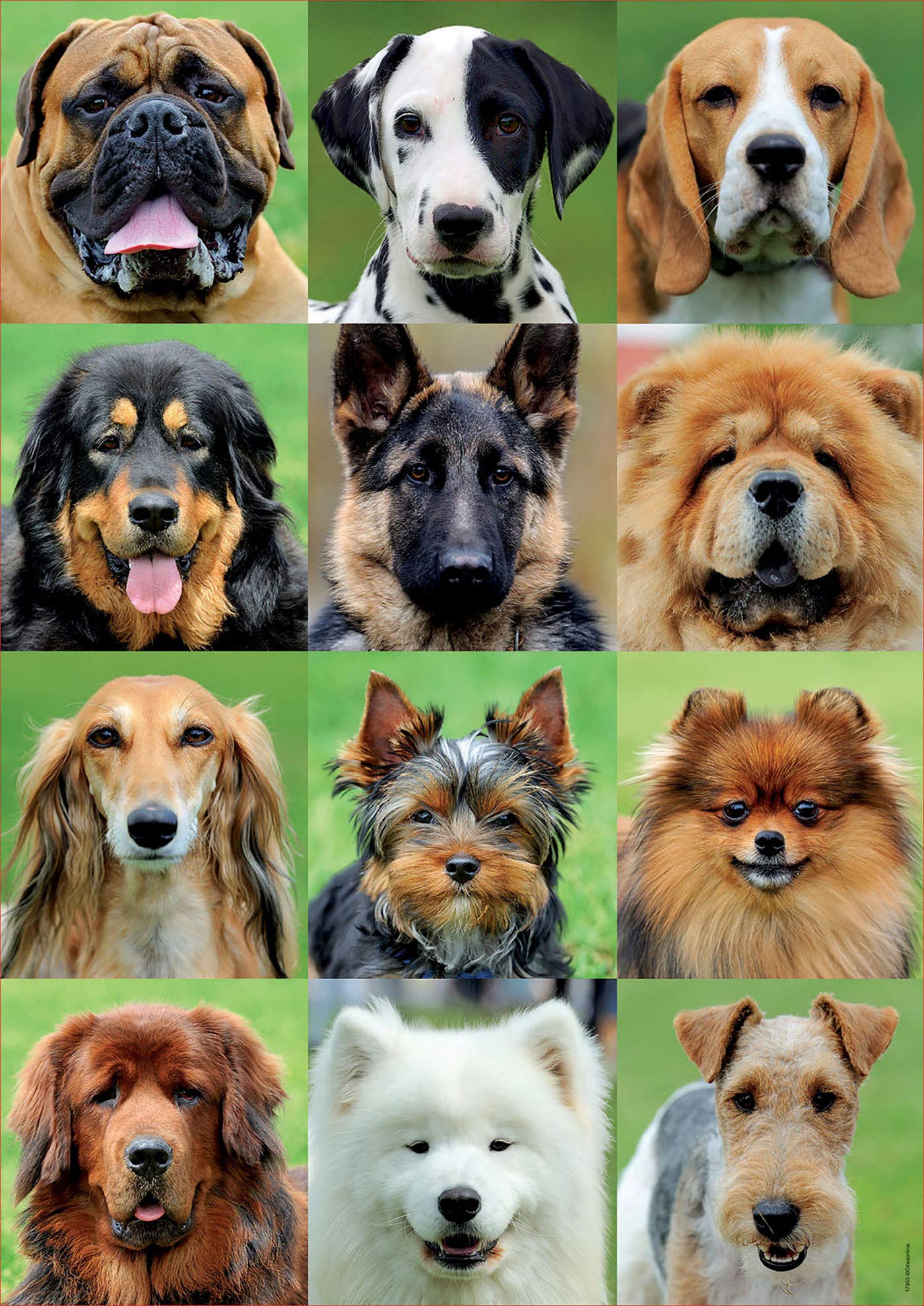 educa-hundecollage-500-teile-puzzle-ab-10-jahren image 2