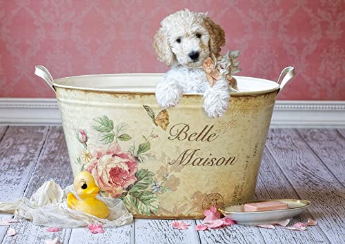 educa-16736-belle-maison-lisa-jane-puzzle-500-teile image 6